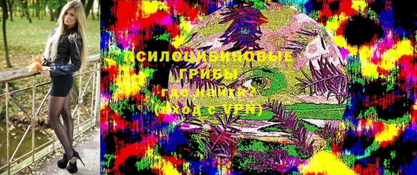 дурь Алзамай