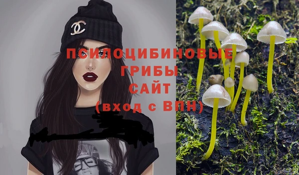 экстази Алексин