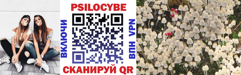 Галлюциногенные грибы Psilocybe Красноуральск