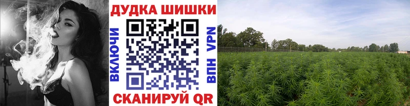 МЕГА ONION  Красноуральск  Конопля сатива 